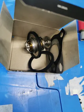 Termostato Gates Ford Transit 2013