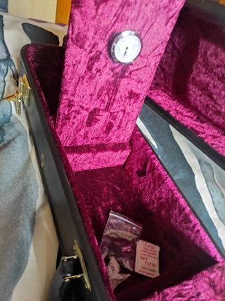 Estuche Guitarra electrica Les Paul