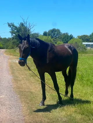 Terreno venta Argentina Particular