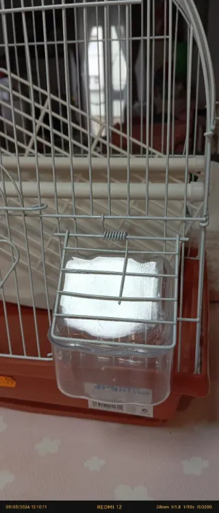 Jaula para pájaros blanca y marrón nieva