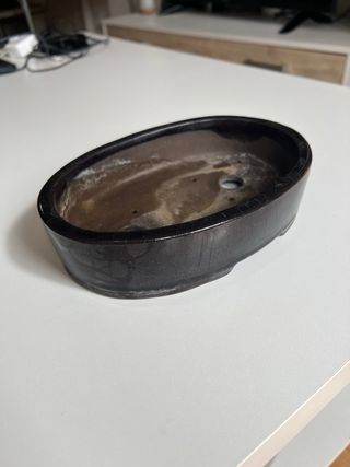 Maceta bonsai ovalada negra esmaltada
