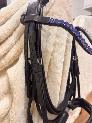 Cabezada Brida Trabajo con Cristales Azules