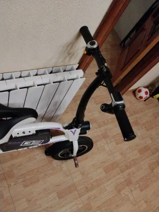 Bici Eléctrica SMART SETR G3