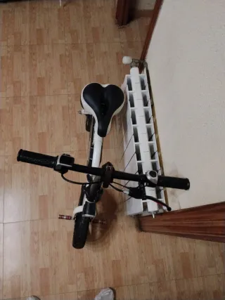 Bici Eléctrica SMART SETR G3