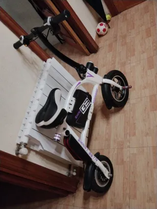 Bici Eléctrica SMART SETR G3