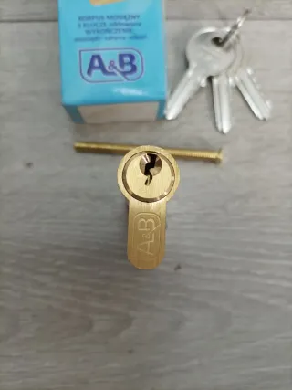 Cilindro de cerradura 25/30 Latón con 3 llaves