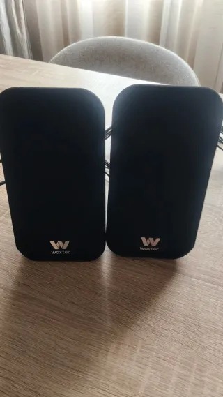 Altavoces Woxter Dynamic DL-1250 Negro 150w