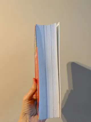 Diccioario Español- Francés. Francais-espagnol