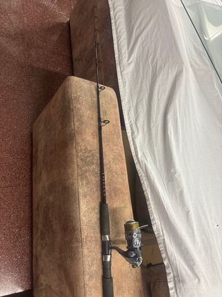 Caña de pescar con carrete