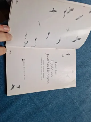 Il gabbiano Jonathan Livingston. Richard Bach.