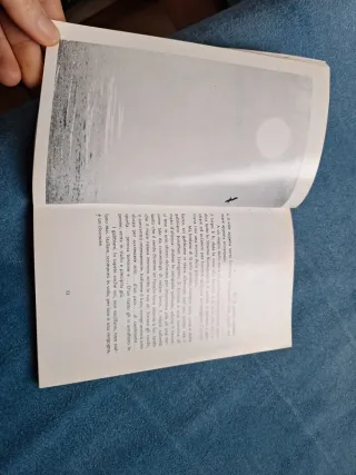 Il gabbiano Jonathan Livingston. Richard Bach.