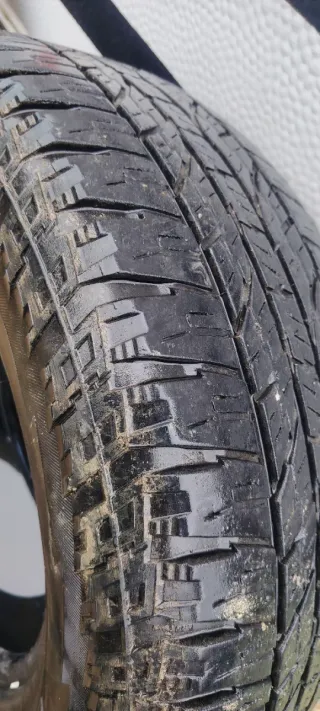 Neumáticos todoterreno Yokohama Geolandar A/T