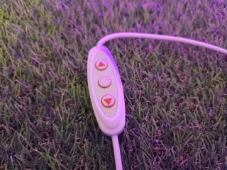 Scritta Neon Alice Viola