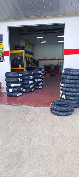 Juego Neumáticos CF Moto 450MT