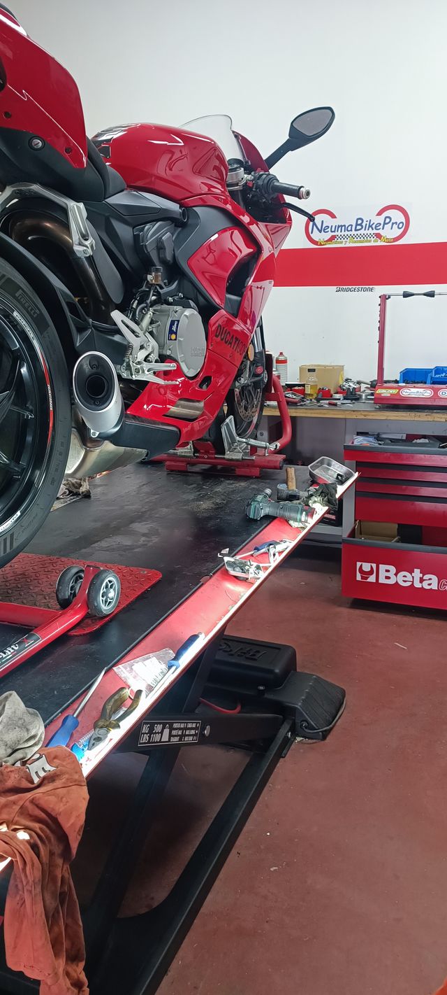 Juego Neumáticos CF Moto 450MT