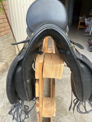 Silla de doma Lexhis