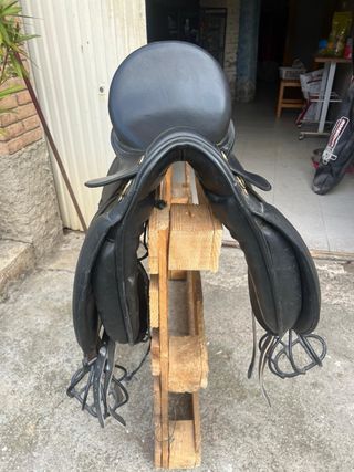 Silla de doma Lexhis