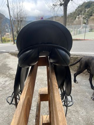 Silla de doma Lexhis