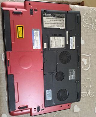 Portatile Dell Argento e Nero