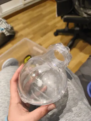 Box sabbia per criceti