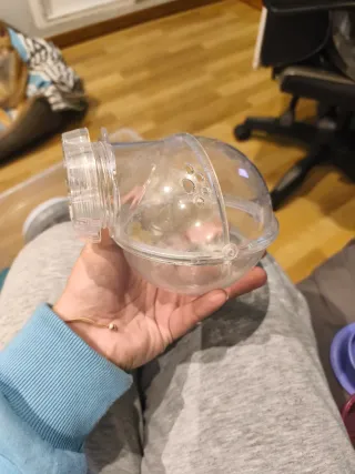 Box sabbia per criceti