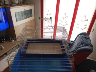 Jaulas para conejos y mascotas