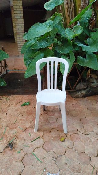 Sillas de plástico blancas para eventos