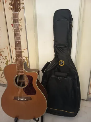 Guitarra Electro Acústica Walden Mod. G630CE