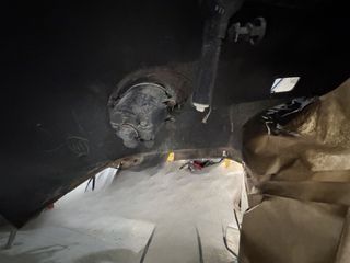 Paragolpes Delantero Lexus RX350H Negro