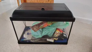 Pecera 30L con accesorios