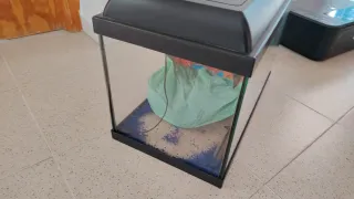 Pecera 30L con accesorios