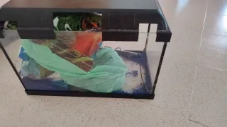 Pecera 30L con accesorios