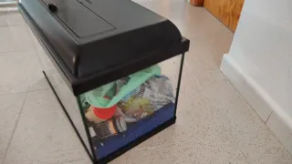 Pecera 30L con accesorios