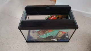 Pecera 30L con accesorios