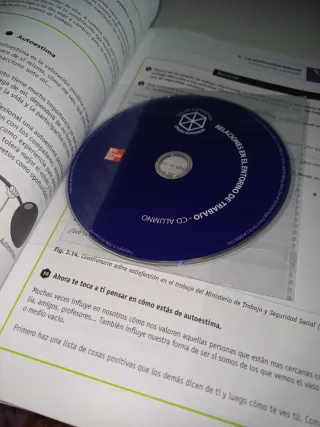 Relaciones en el entorno del trabajo. Grado Sup...