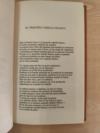 El pequeño caballo blanco (Infantil Y Juvenil) ...