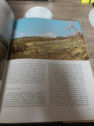 Galicia, Una Cultura de Occidente (Spanish Edit...