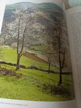 Galicia, Una Cultura de Occidente (Spanish Edit...
