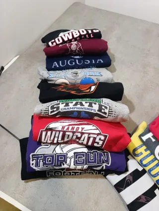 Lote 20 Sudaderas USA Pro Sport Vintage
