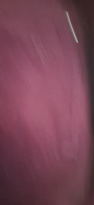 Pantalón Burdeos Lloyd's Mujer