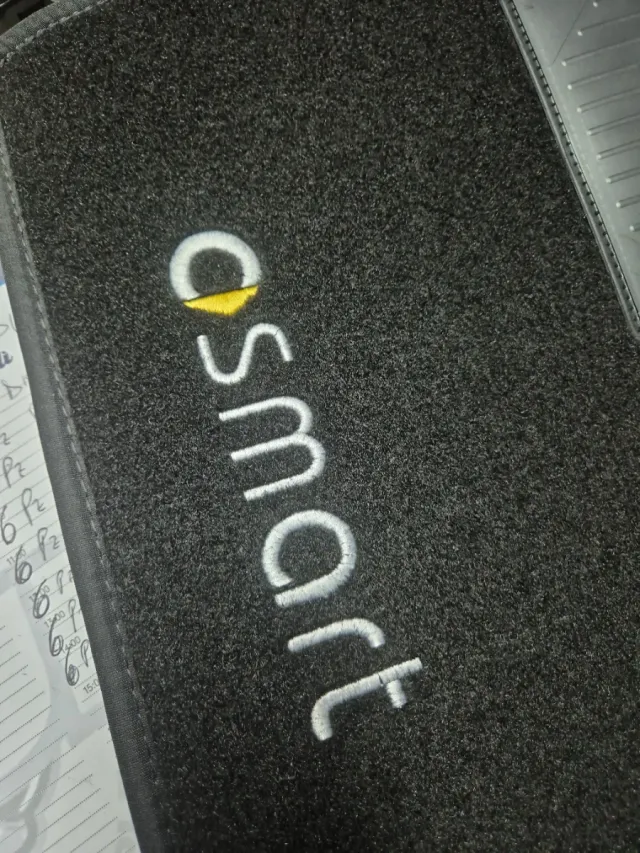 Tappetini Smart W450