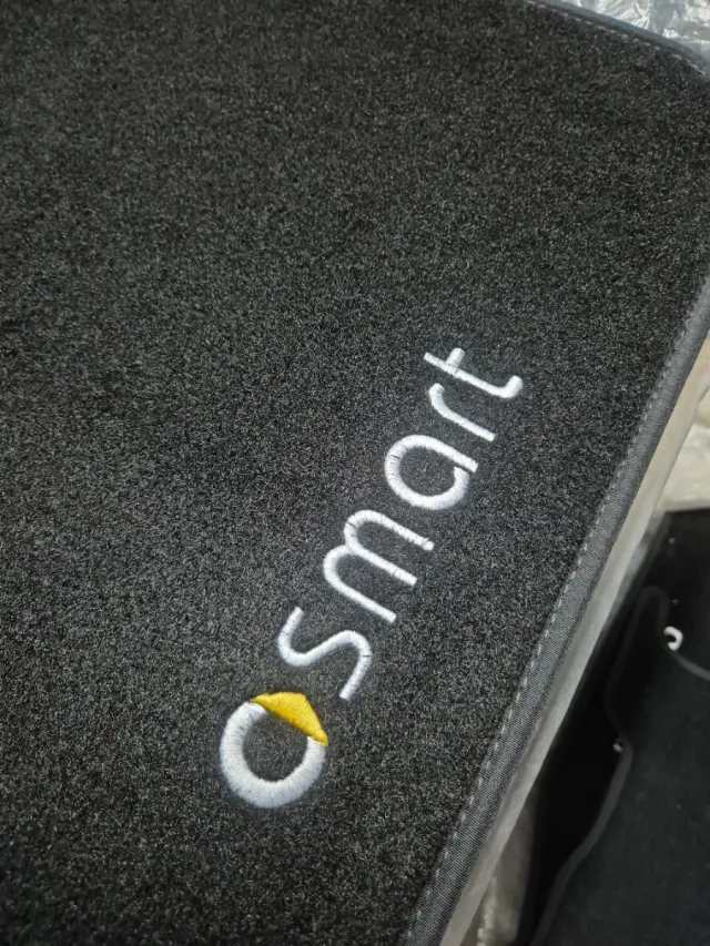 Tappetini Smart W450