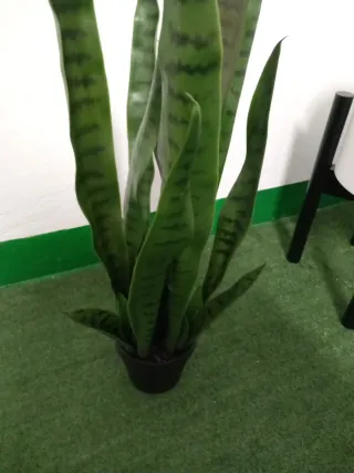 Planta artificial Lengua de Suegra