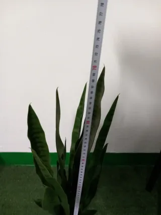 Planta artificial Lengua de Suegra