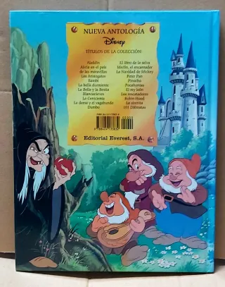 Lote 2 libros Disney editorial Everest