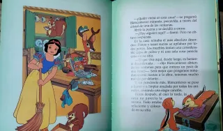 Lote 2 libros Disney editorial Everest