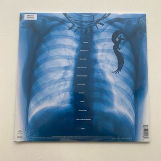 VINILO  LORDE  2025   COLOR VERDE BOTELLA