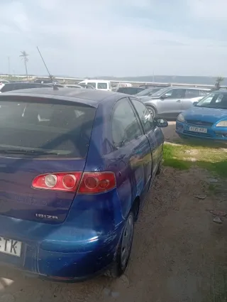 Coche seat Ibiza 2003