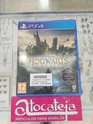 PS4 Hogwarts Legacy
