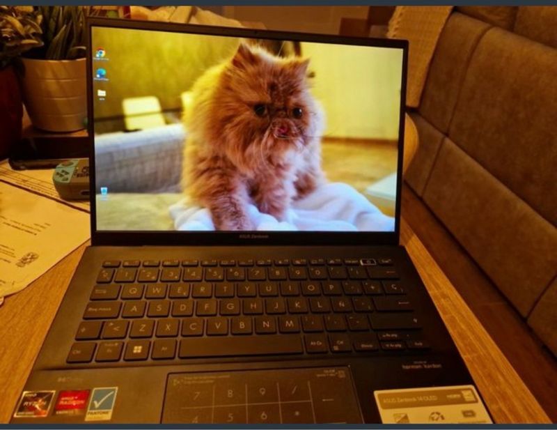 Asus ZenBook 14 OLED Portátil